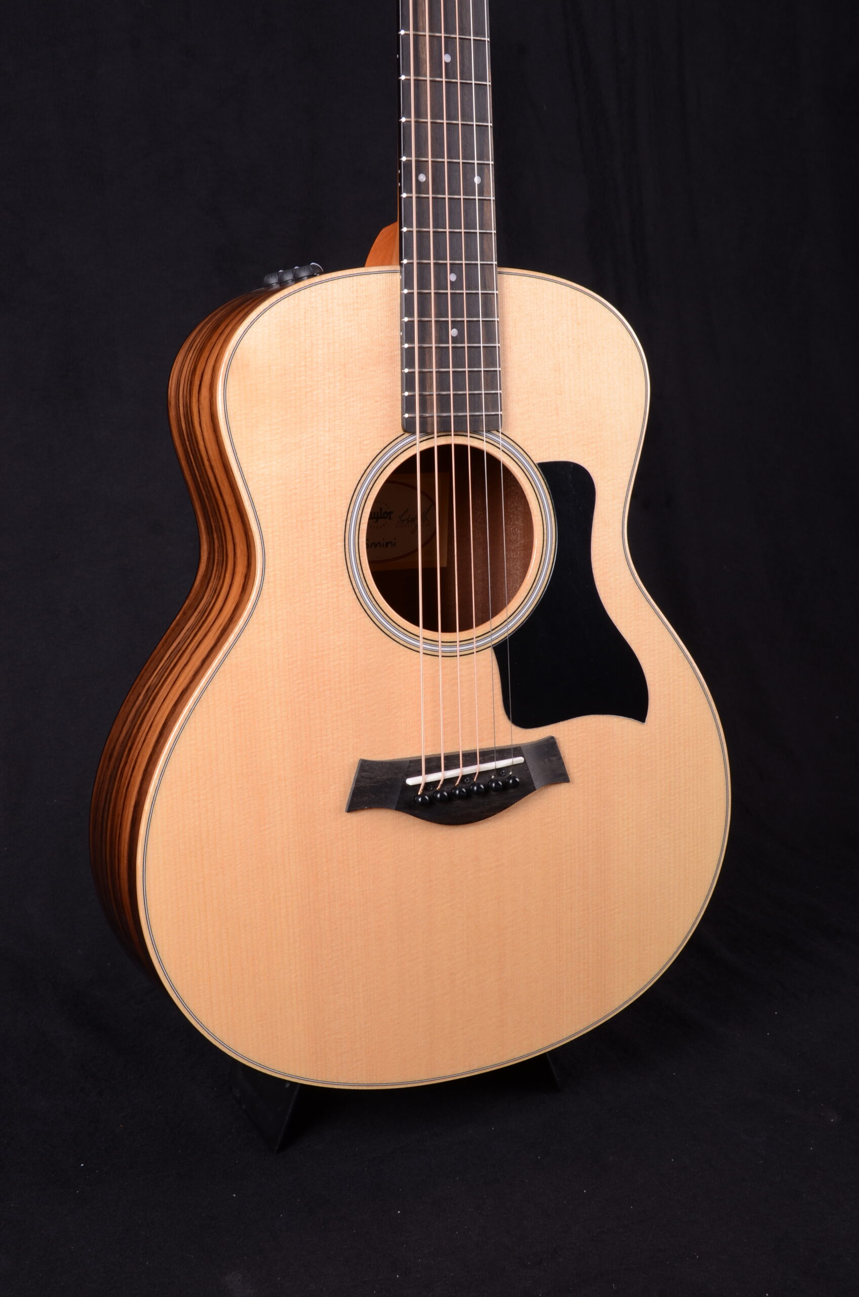 Taylor GS Mini-e Rosewood Plus