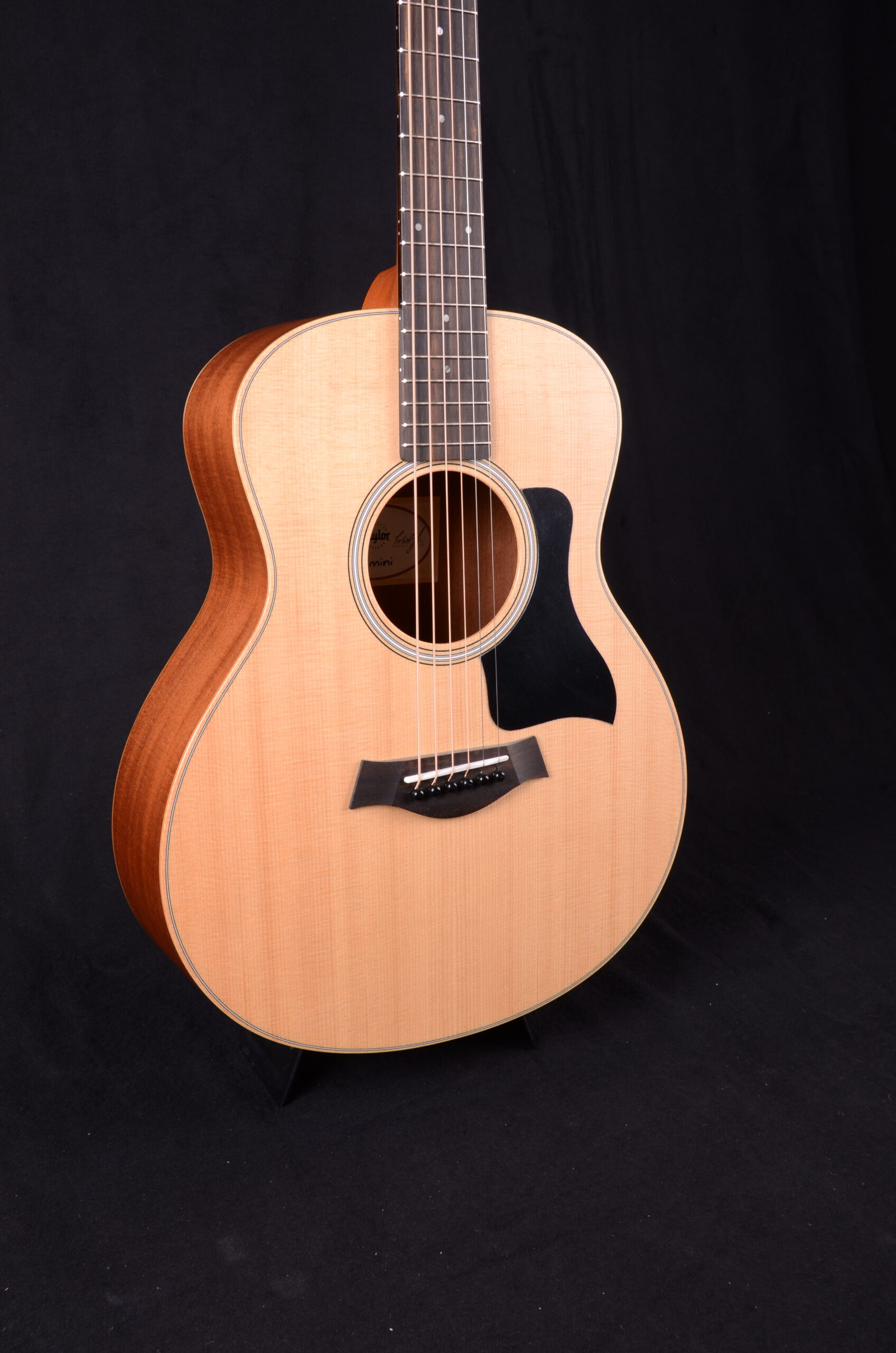 Taylor GS Mini Sapele