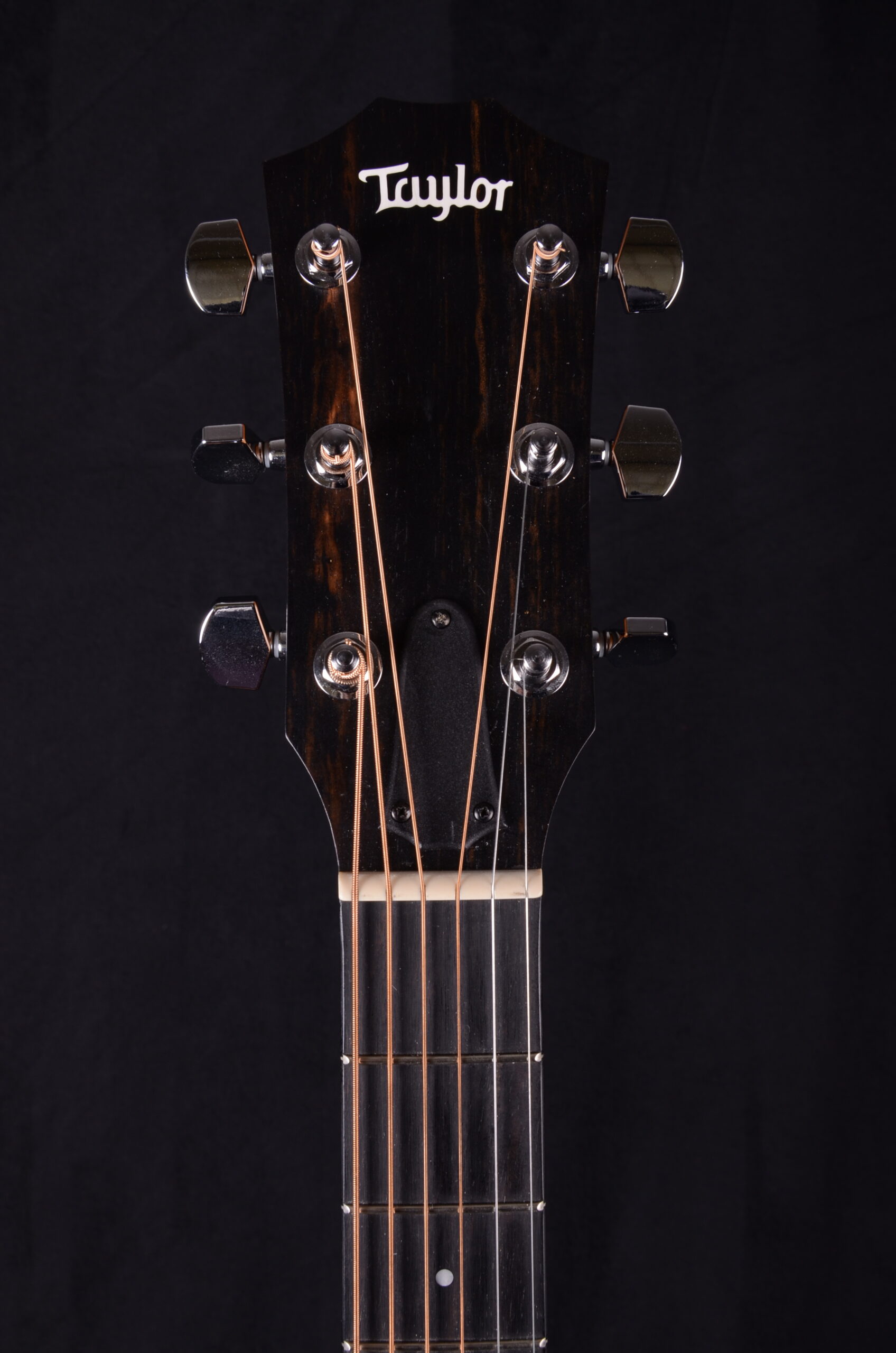 Taylor 114ce SB – Bild 8