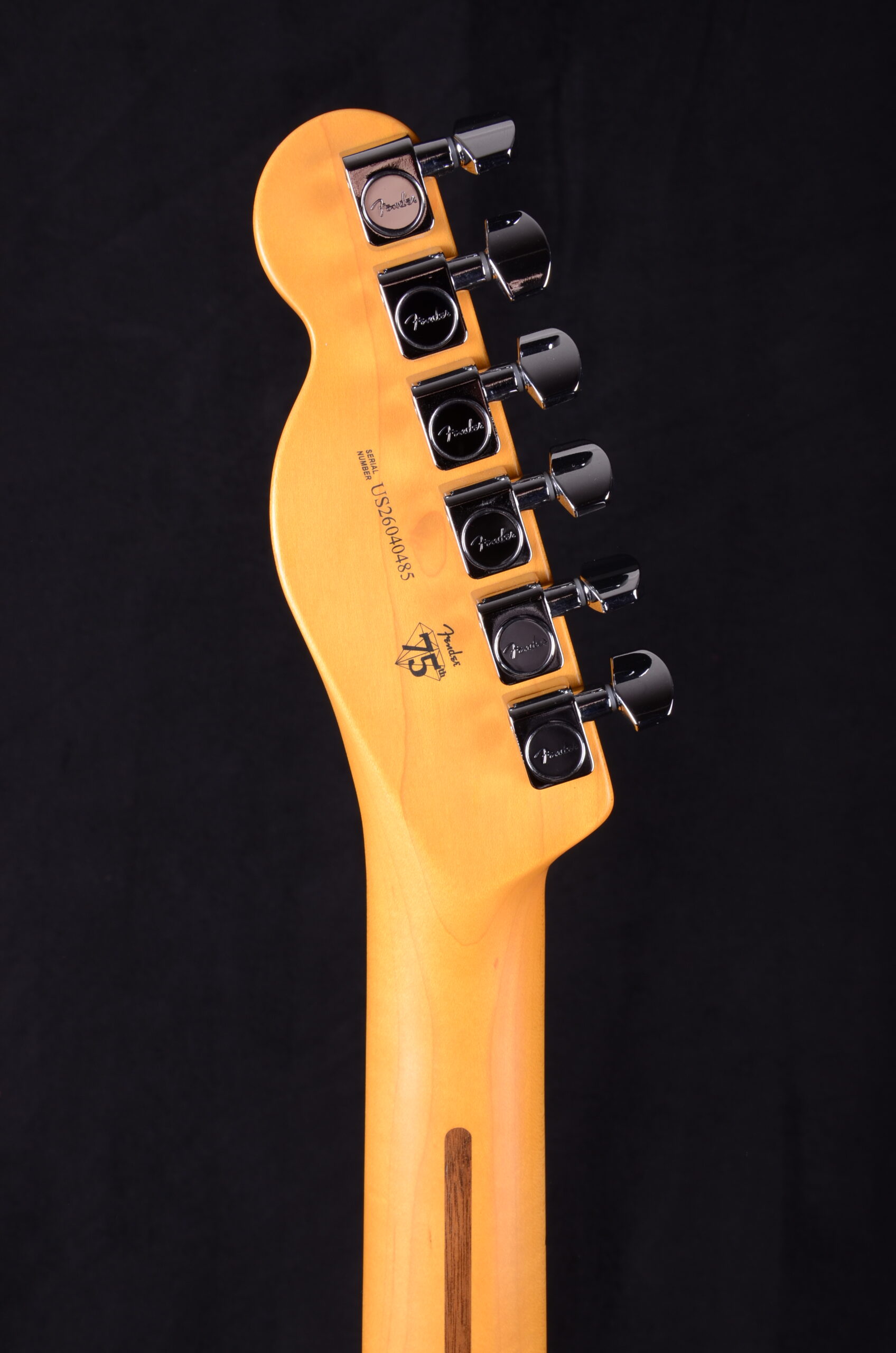 Fender AM Professional Tele MN ACB – Bild 9